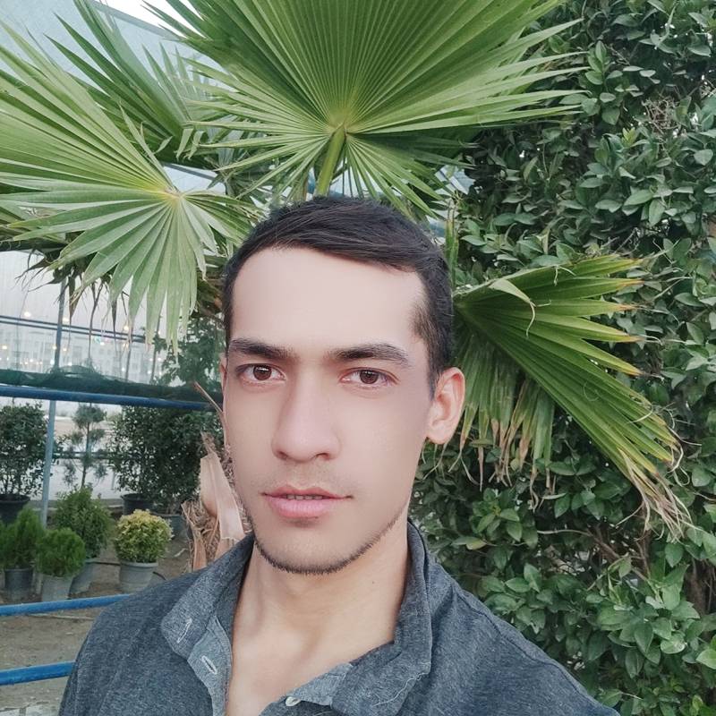 Hasan, 29, Belgium