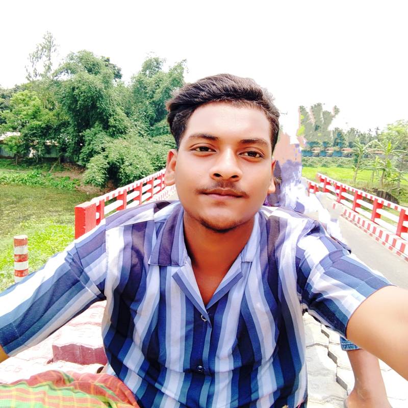 Shadin, 44, Bheramara