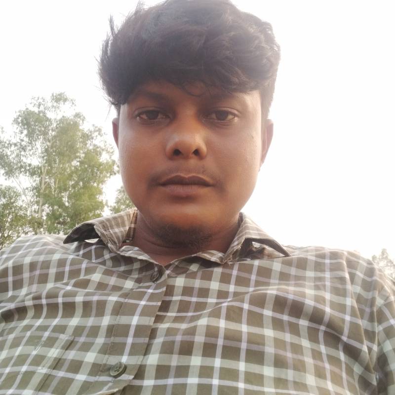 Md mehedi, 30, USA